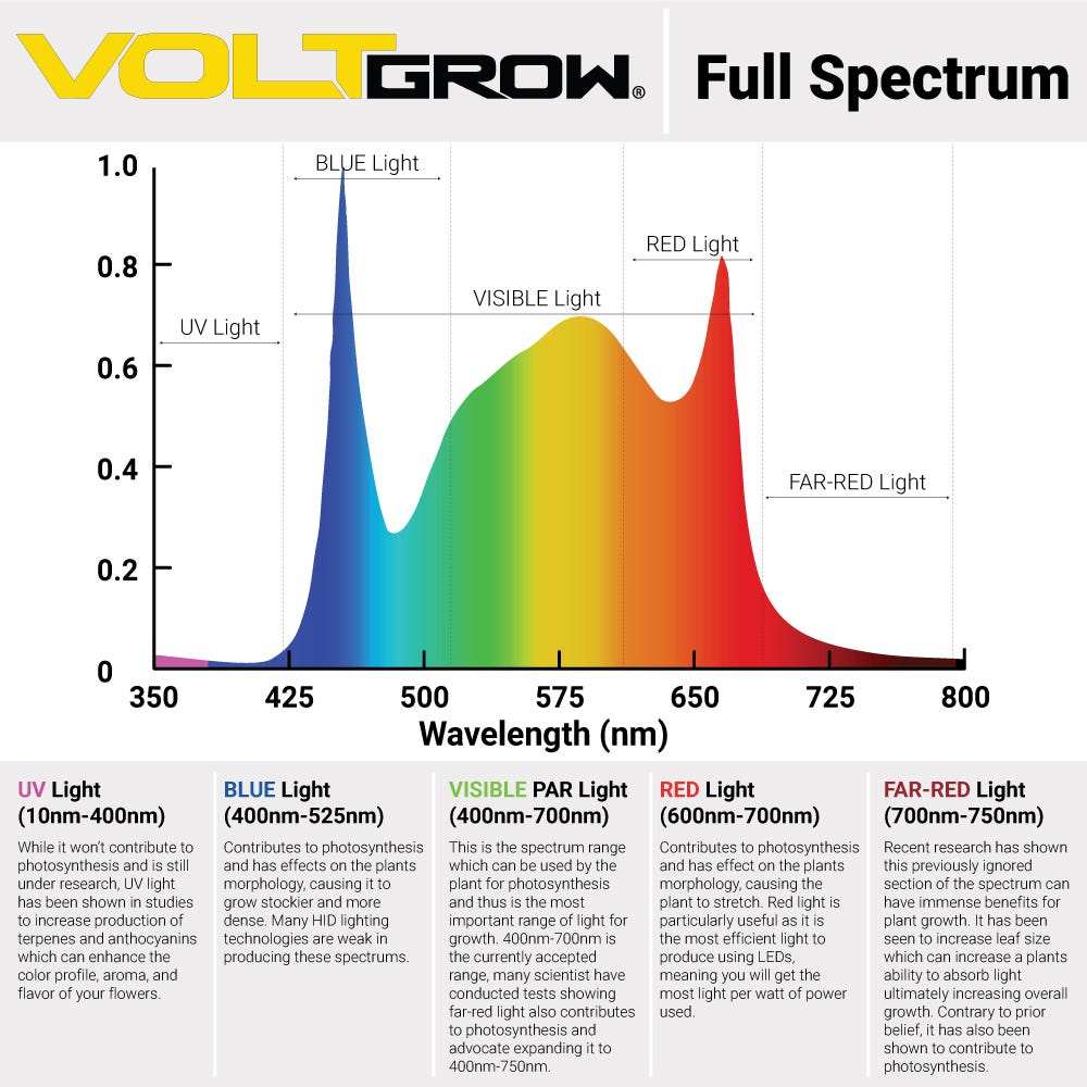 What Is the Best Light Spectrum for Plant Growth?