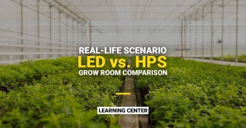 Comparing LED Vs HPS Grow Room Light Costs