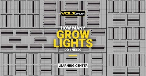 How Many Grow Lights Do I Need?