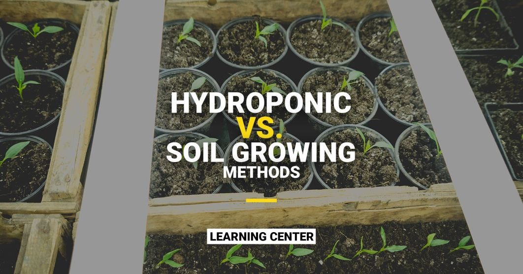 Hydroponic Vs. Soil Growing Methods