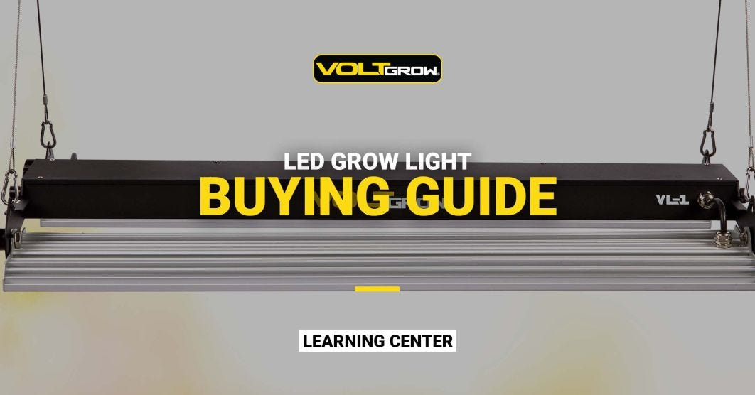 LED Grow Light Buying Guide