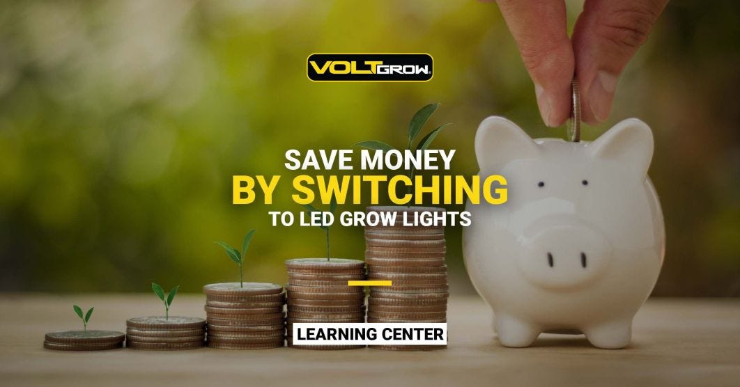 Save Money When Switching to LED Grow Lights